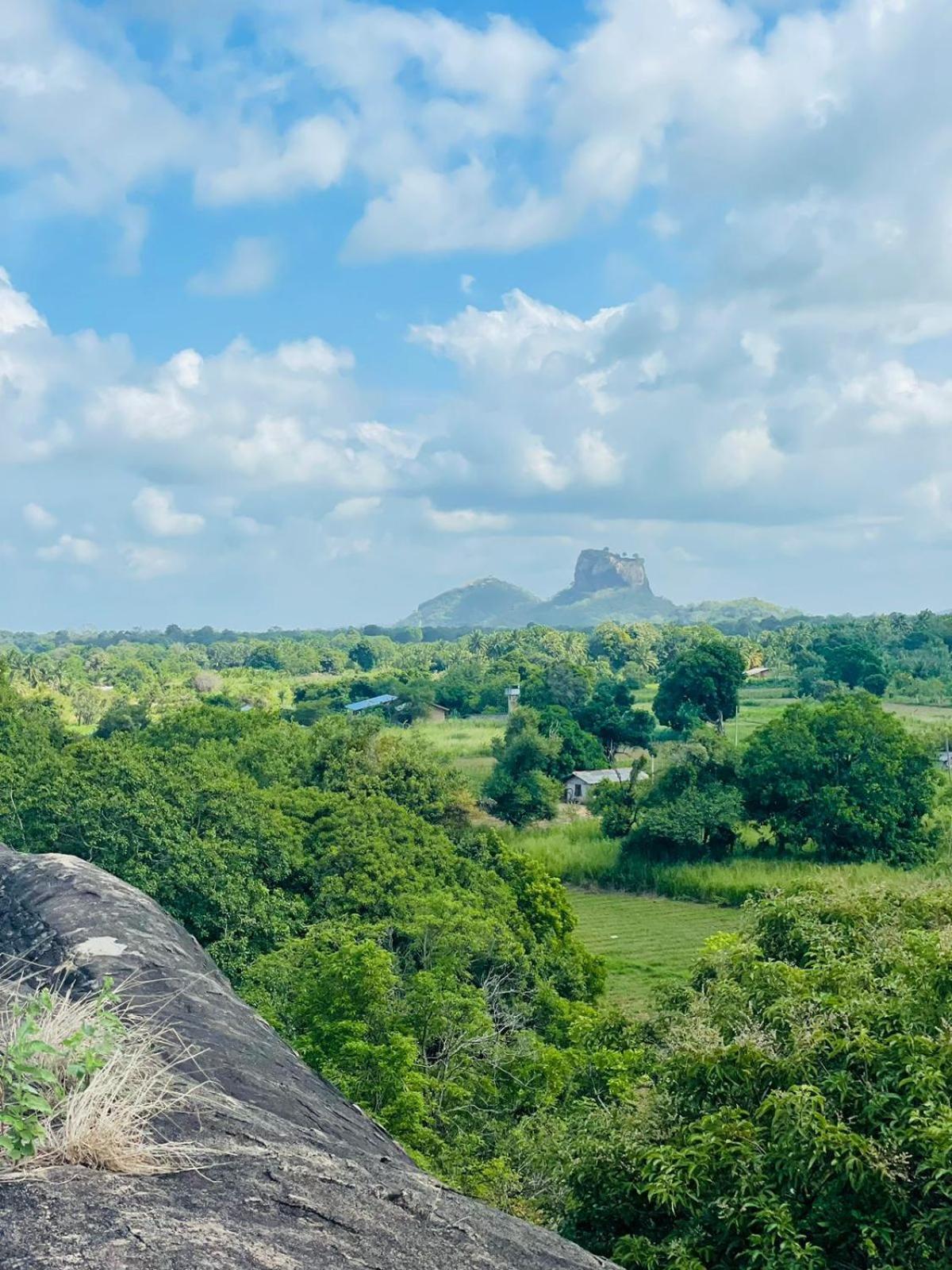Hotel Birdwing Sigiriya Exteriér fotografie