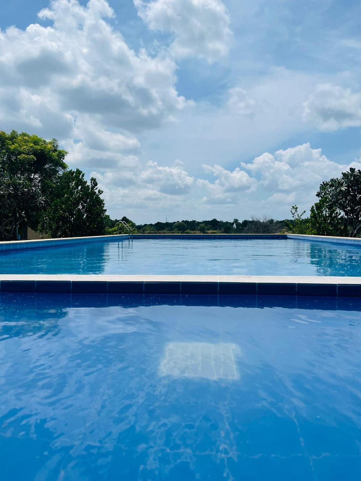 Hotel Birdwing Sigiriya Exteriér fotografie