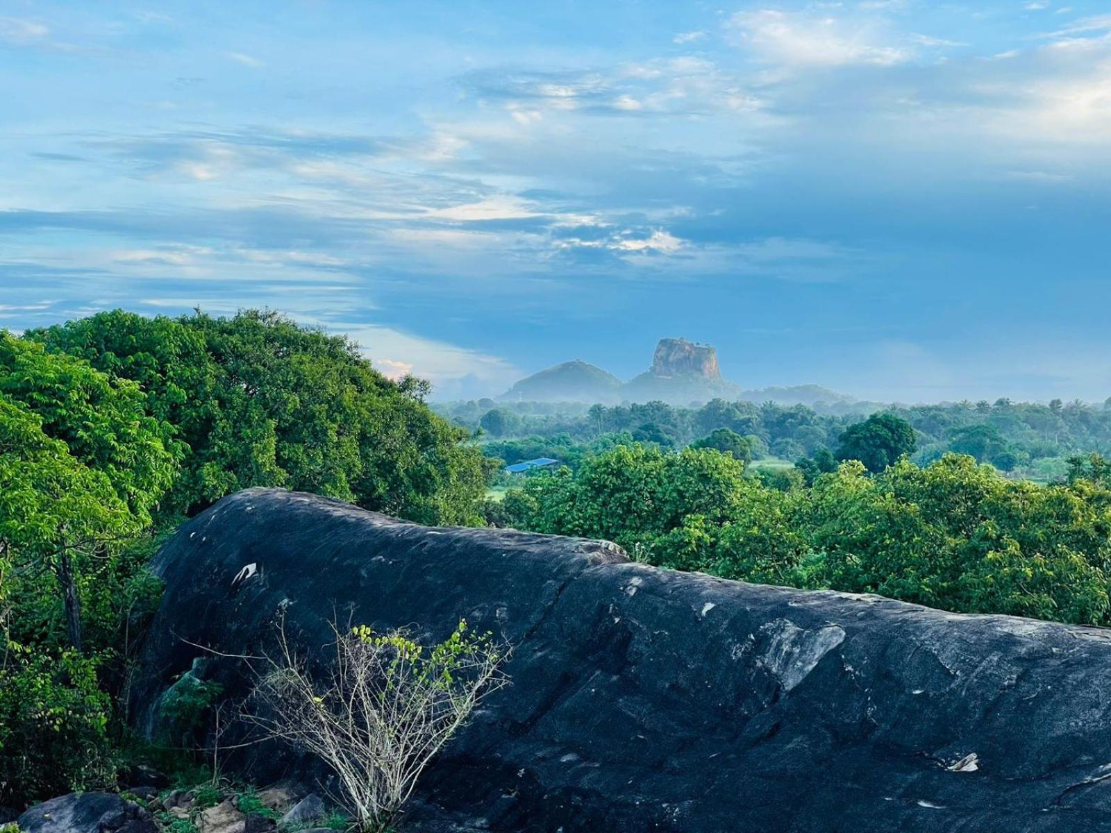 Hotel Birdwing Sigiriya Exteriér fotografie
